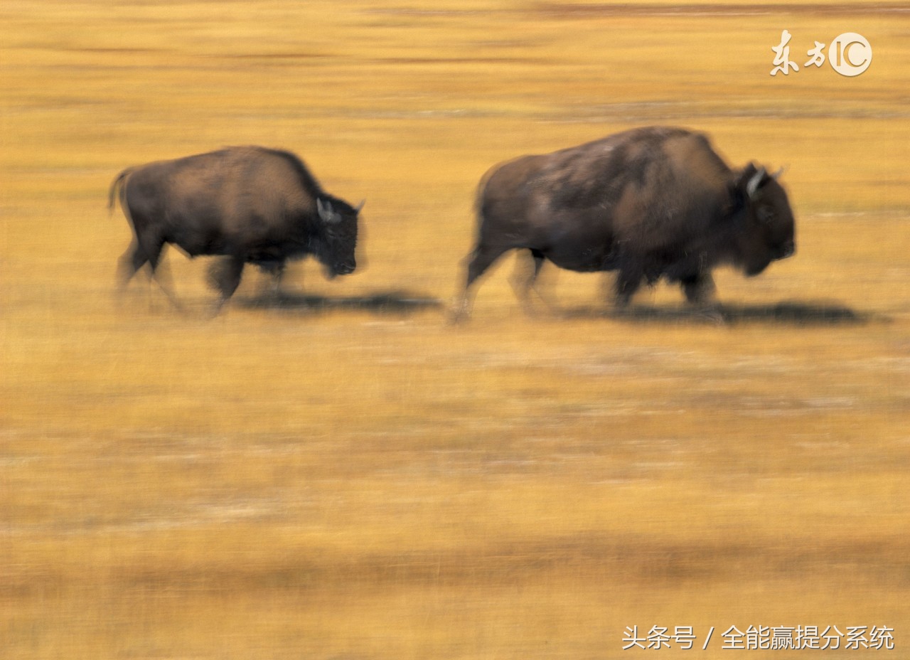高考提分：最神奇的 “玄学” 史上最牛蒙分技巧