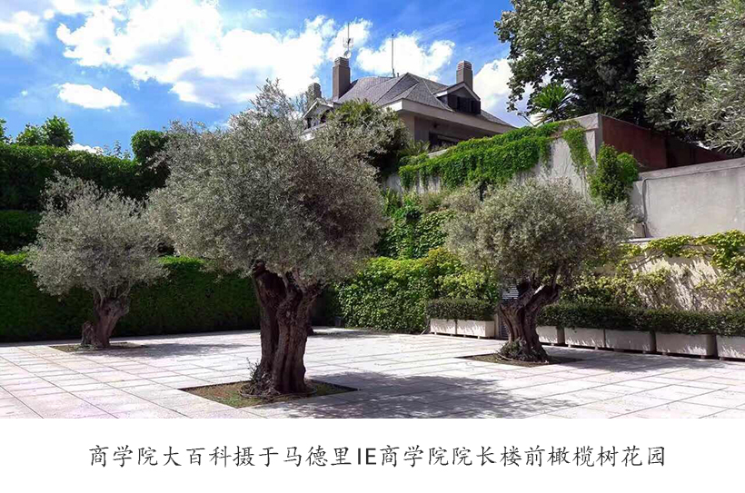 高新科技打造全新高等教育模式-IE商学院院长专访