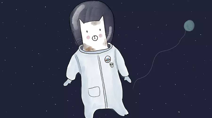 靠谱女孩上哪找？来这里找