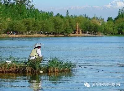 二十四节气钓鱼节气与钓鱼淡旺季的歇后语都在这里了！