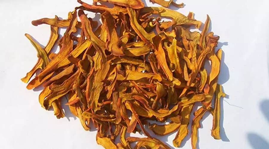 中药知识必学:申姜不是生姜