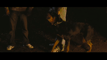 热恋情侣来湖边甜蜜野营，偶遇丧心病狂熊孩子惨遭虐杀！