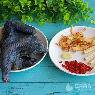 沙參玉竹,沙參玉竹的功效與作用