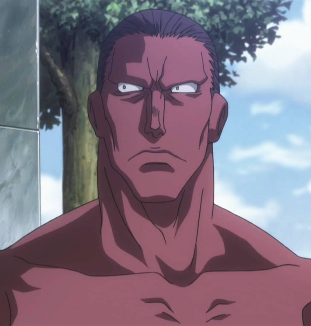 全职猎人实力排行榜,会长的实力竟然进不了前五