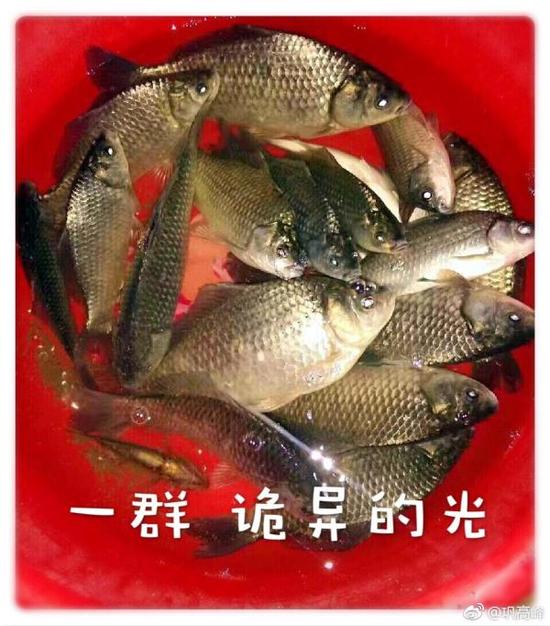 语文老师怎么看浙江高考题《一种美味》？诡异的光真那么好笑？