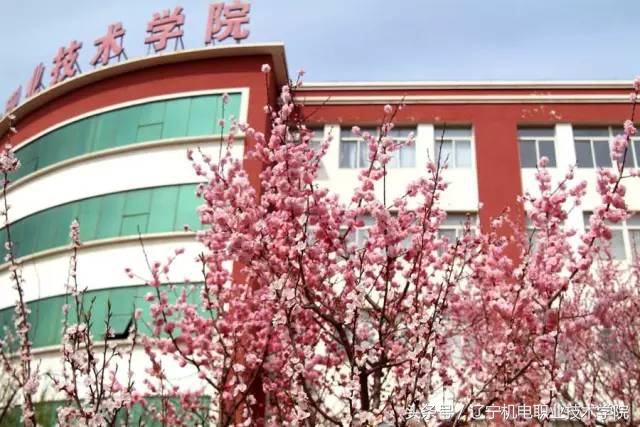 辽宁这18所高职高专在全国出名了！毕业收入比211、985高