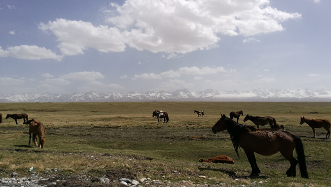 南疆北疆十天自驾游攻略，自驾需要的可以参考了