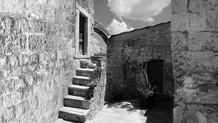 上影节热门片抢破头？这些好电影还有票