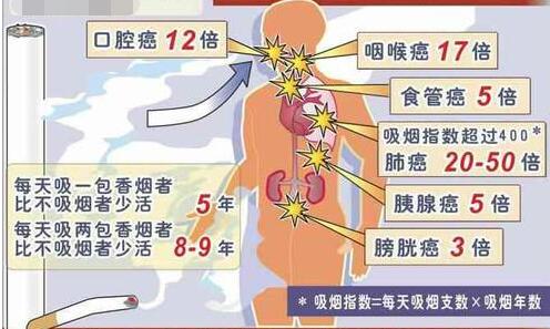 香烟的成分有哪些（知识科普香烟的主要成分）