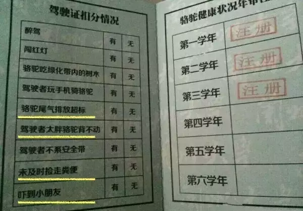 教你如何优雅的吐槽母校~