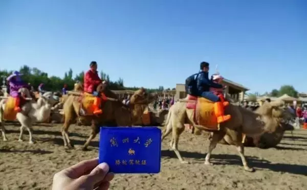 教你如何优雅的吐槽母校~