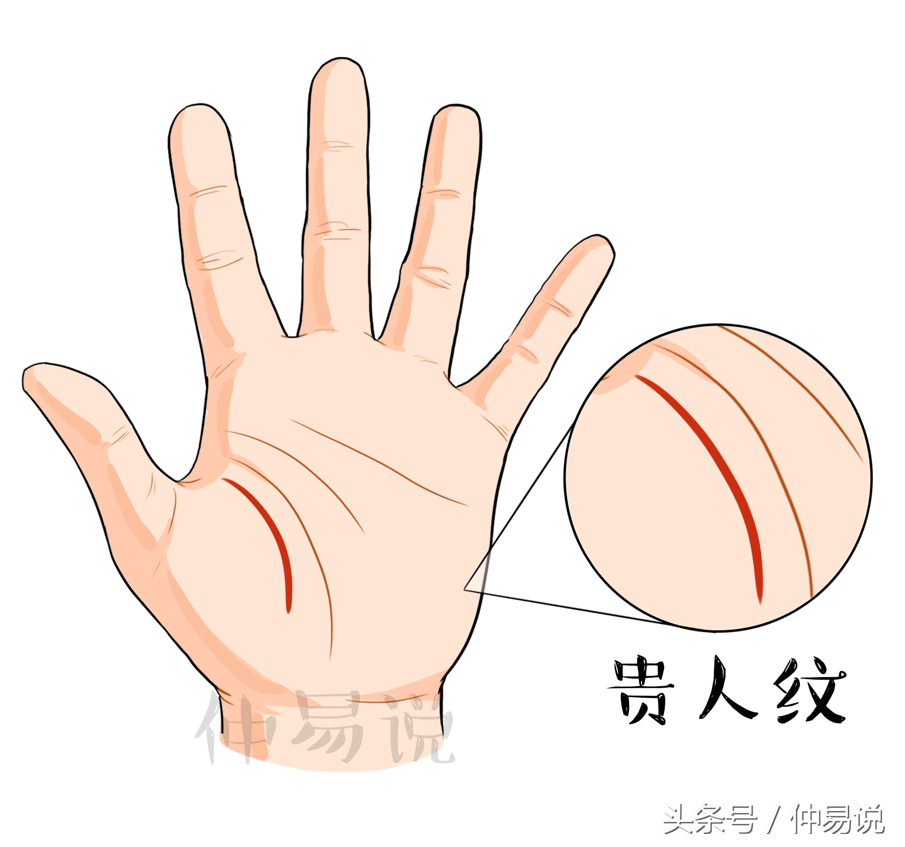 手上有这3种贵人纹,一生不愁没人帮,处处遇贵人