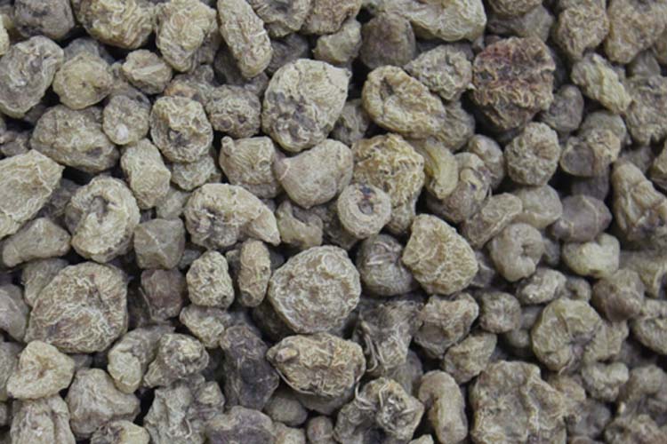 山慈菇的功效有哪些(山慈菇的功效与作用是什么)