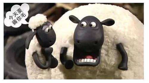 网络用语薅羊毛是什么意思全面了解薅羊毛的含义解释