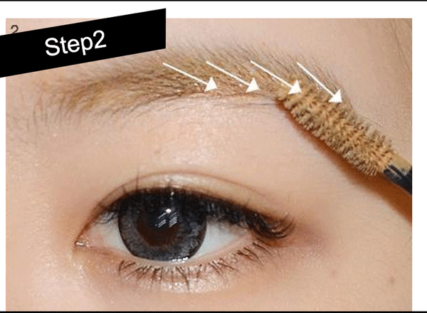 女明星最爱的粗平眉你画对了吗?