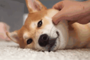 安徽师范大学校历（2017全国高校暑期时长排行榜）