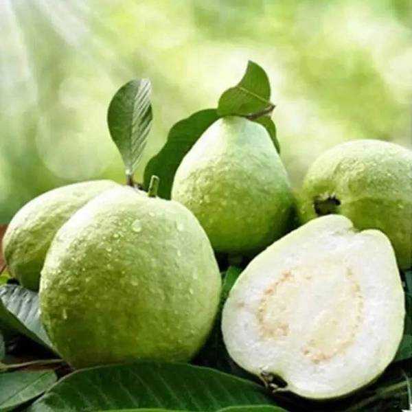 女人戴石榴石手链可以加几个狴貅(潘石榴的功效及禁忌) 第3张