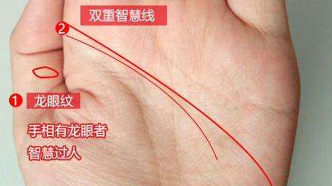 大拇指手相学图解大全_达一风水网