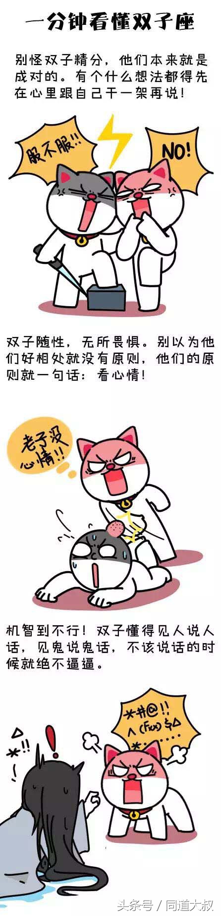 你看懂双子座了吗？