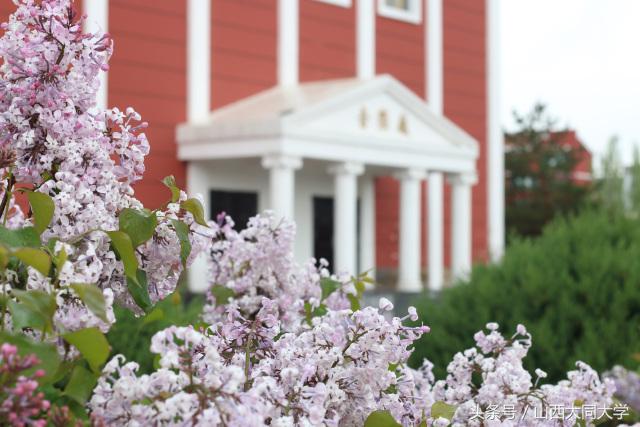 权威发布｜山西大同大学2017年招生计划及近三年录取分数线
