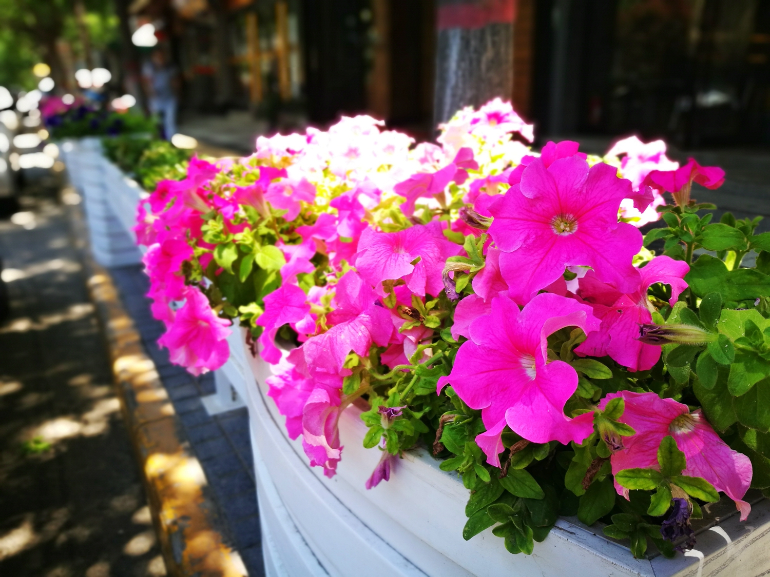 高考快讯：江苏、河南、山东、湖南、山西、陕西、黑龙江、上海2017年高考分数线揭晓