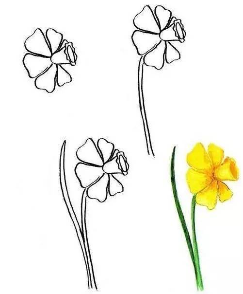 儿童简笔画:花儿朵朵开,向日葵等十几款小花的绘画教程,孩子都能学