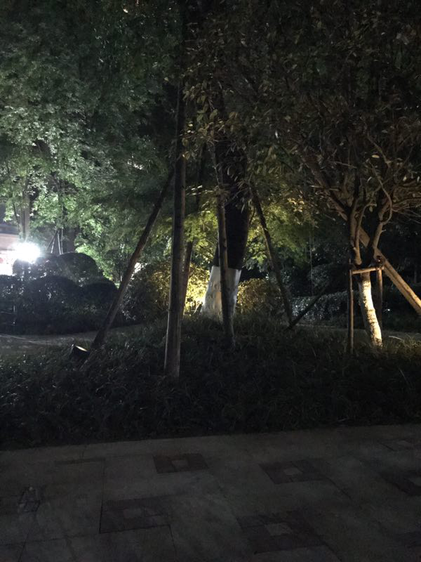 华为新出的千元机畅享7 Plus如何，除了纸面上的参数，实际拍照表现如何，看样张说话