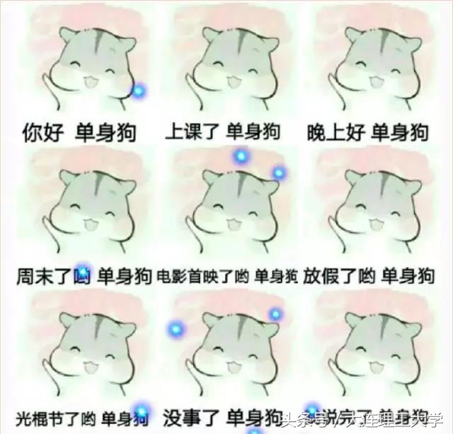 大连理工大学的宿舍情——我有故事，你有酒吗？