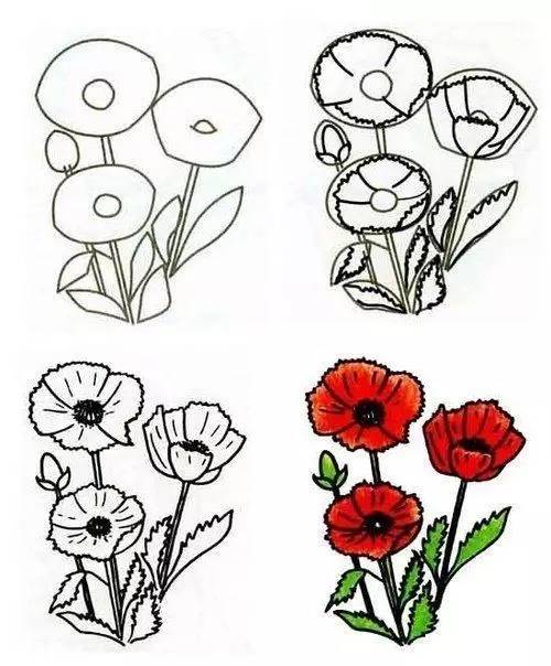 儿童简笔画:花儿朵朵开,向日葵等十几款小花的绘画教程,孩子都能学