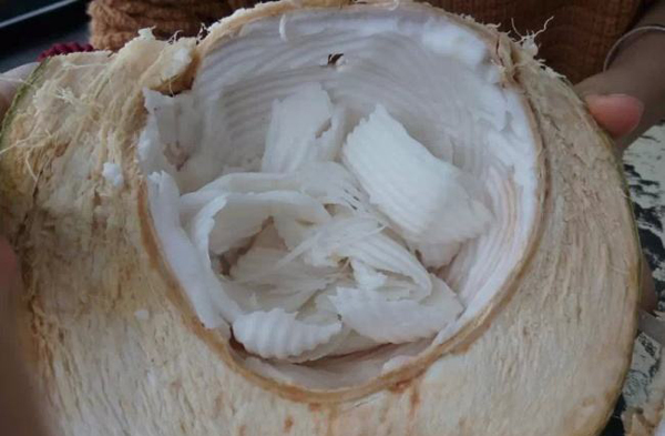 怎样把椰子肉弄出来 椰子肉怎么吃