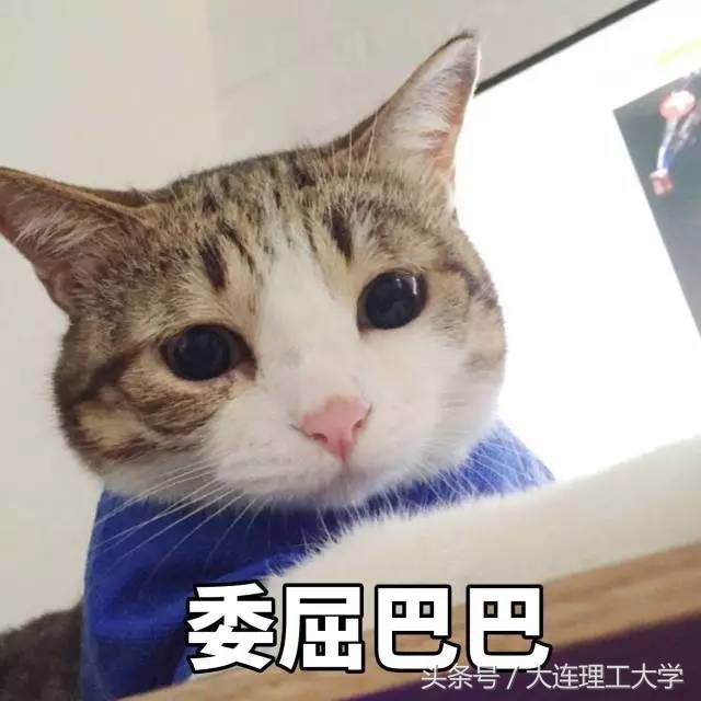 大连理工大学的宿舍情——我有故事，你有酒吗？