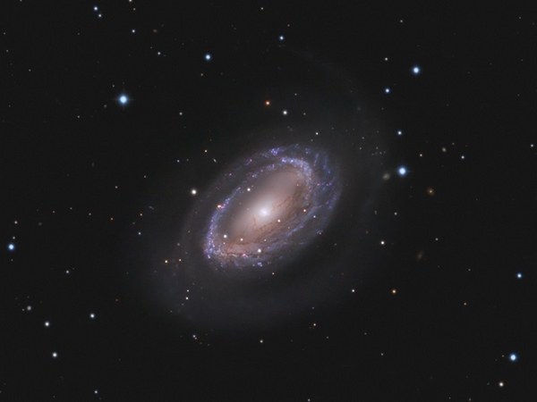 用双筒望远镜即可看到的星团M31球状星团