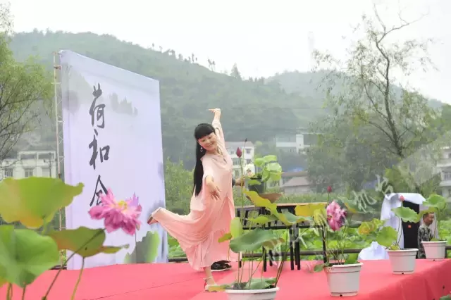 赏荷、骑车、摘果……夏日相约沙坪坝，这里风景美如画！