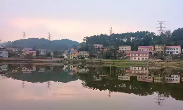 赏荷、骑车、摘果……夏日相约沙坪坝，这里风景美如画！