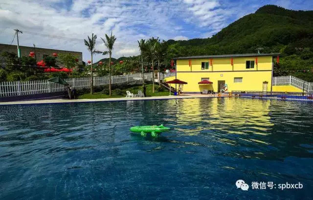 赏荷、骑车、摘果……夏日相约沙坪坝，这里风景美如画！