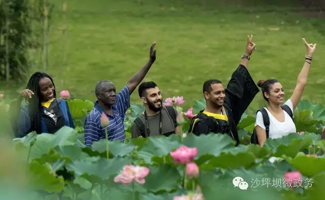 赏荷、骑车、摘果……夏日相约沙坪坝，这里风景美如画！