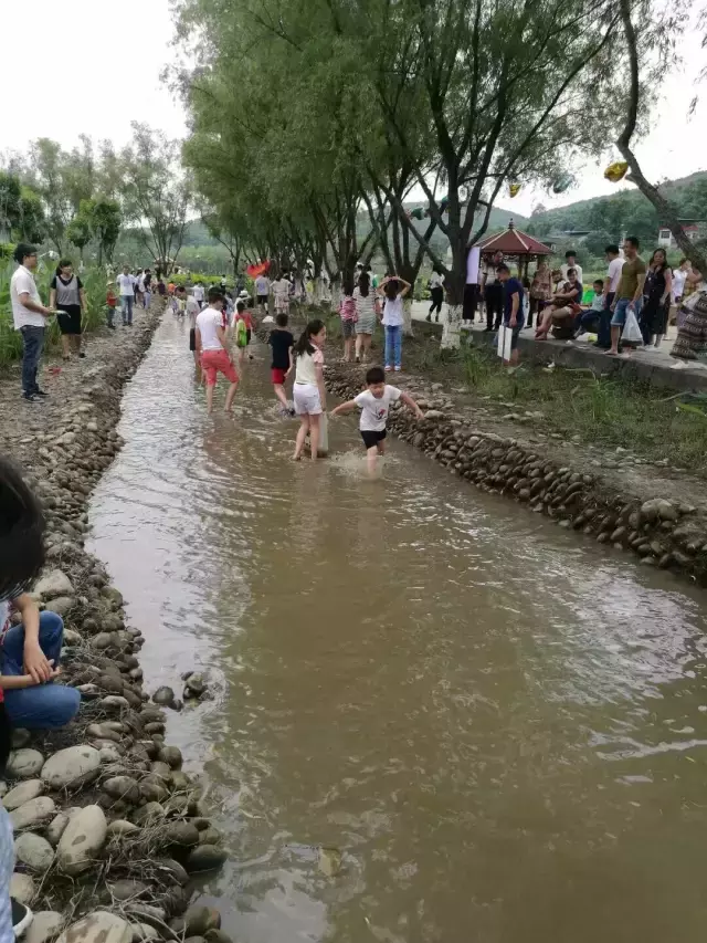 赏荷、骑车、摘果……夏日相约沙坪坝，这里风景美如画！