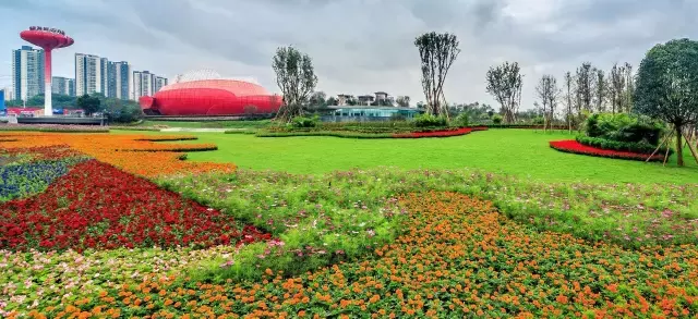 赏荷、骑车、摘果……夏日相约沙坪坝，这里风景美如画！