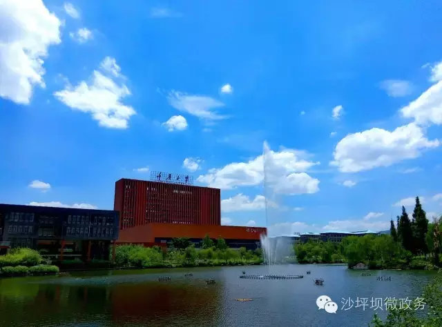 赏荷、骑车、摘果……夏日相约沙坪坝，这里风景美如画！