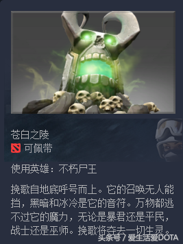 dota2凤凰饰品(《DOTA2》饰品控第十二期——少量饰品汇总（力量篇）)