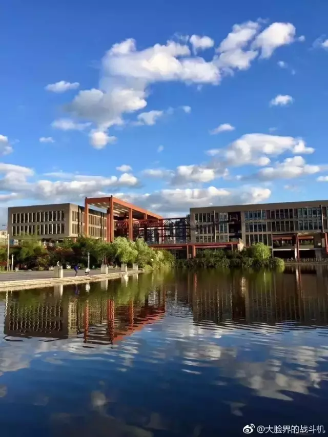 赏荷、骑车、摘果……夏日相约沙坪坝，这里风景美如画！