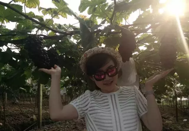 赏荷、骑车、摘果……夏日相约沙坪坝，这里风景美如画！