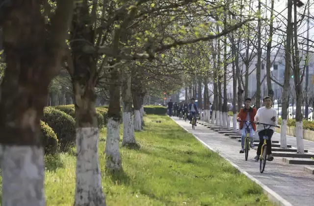 赏荷、骑车、摘果……夏日相约沙坪坝，这里风景美如画！