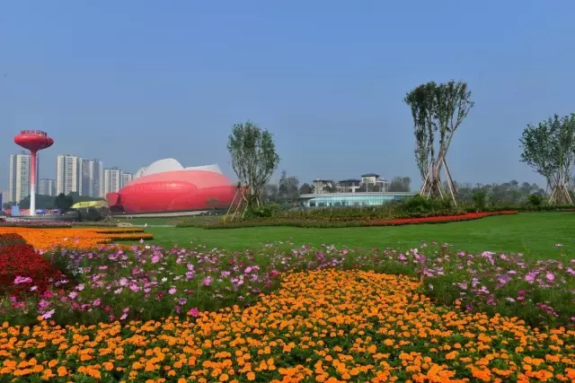 赏荷、骑车、摘果……夏日相约沙坪坝，这里风景美如画！