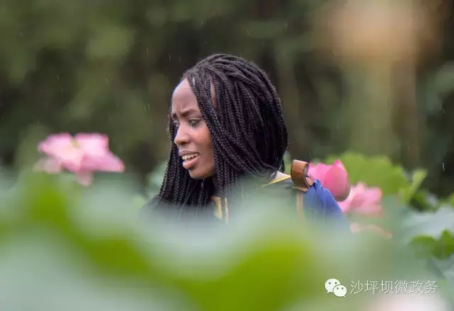 赏荷、骑车、摘果……夏日相约沙坪坝，这里风景美如画！