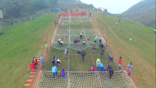 赏荷、骑车、摘果……夏日相约沙坪坝，这里风景美如画！