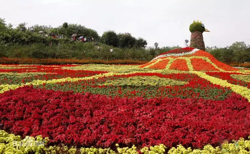 赏荷、骑车、摘果……夏日相约沙坪坝，这里风景美如画！