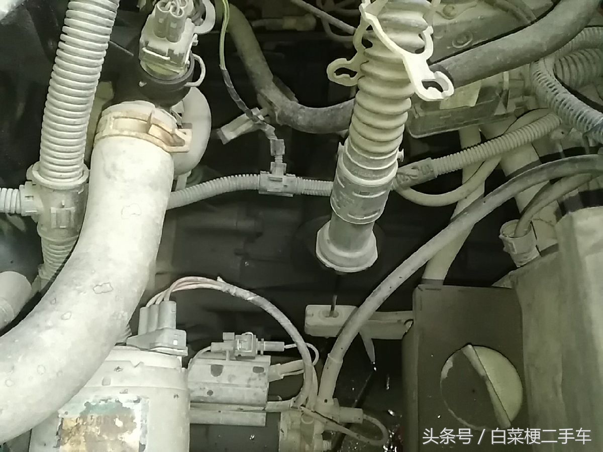 检车日记：跨越两个世纪的捷达王是长什么样的