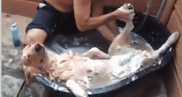 女汉子与软妹子的区别！看完竟然发出杠铃般的笑声哈哈哈哈哈哈哈哈哈哈哈哈哈