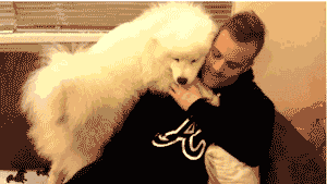 女汉子与软妹子的区别！看完竟然发出杠铃般的笑声哈哈哈哈哈哈哈哈哈哈哈哈哈